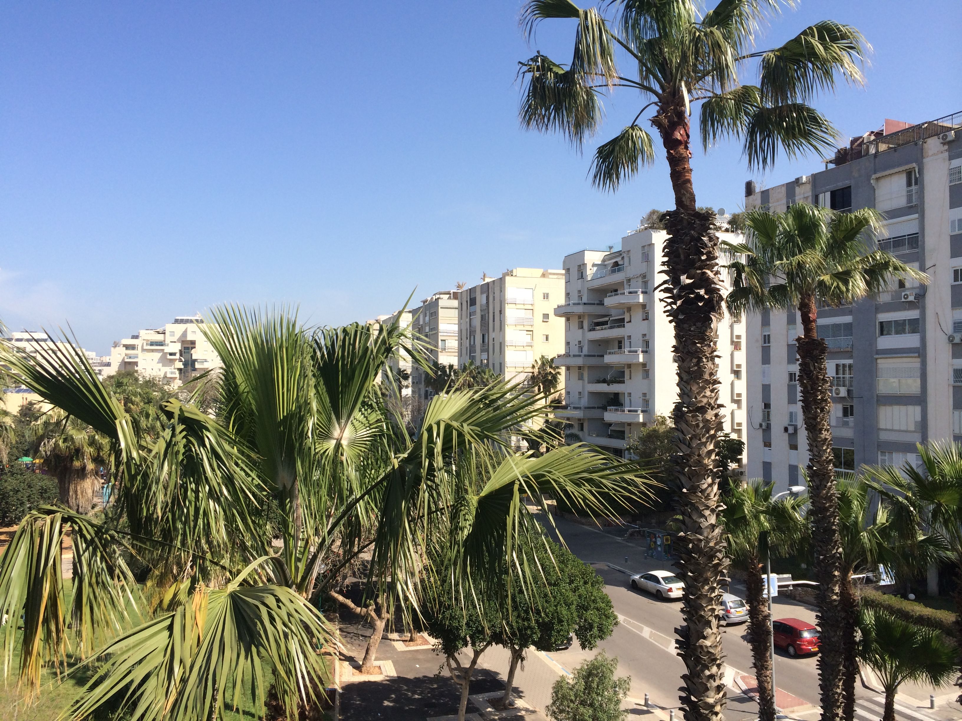 מהסמארטפון שלי